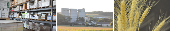 Pflanzenschutz